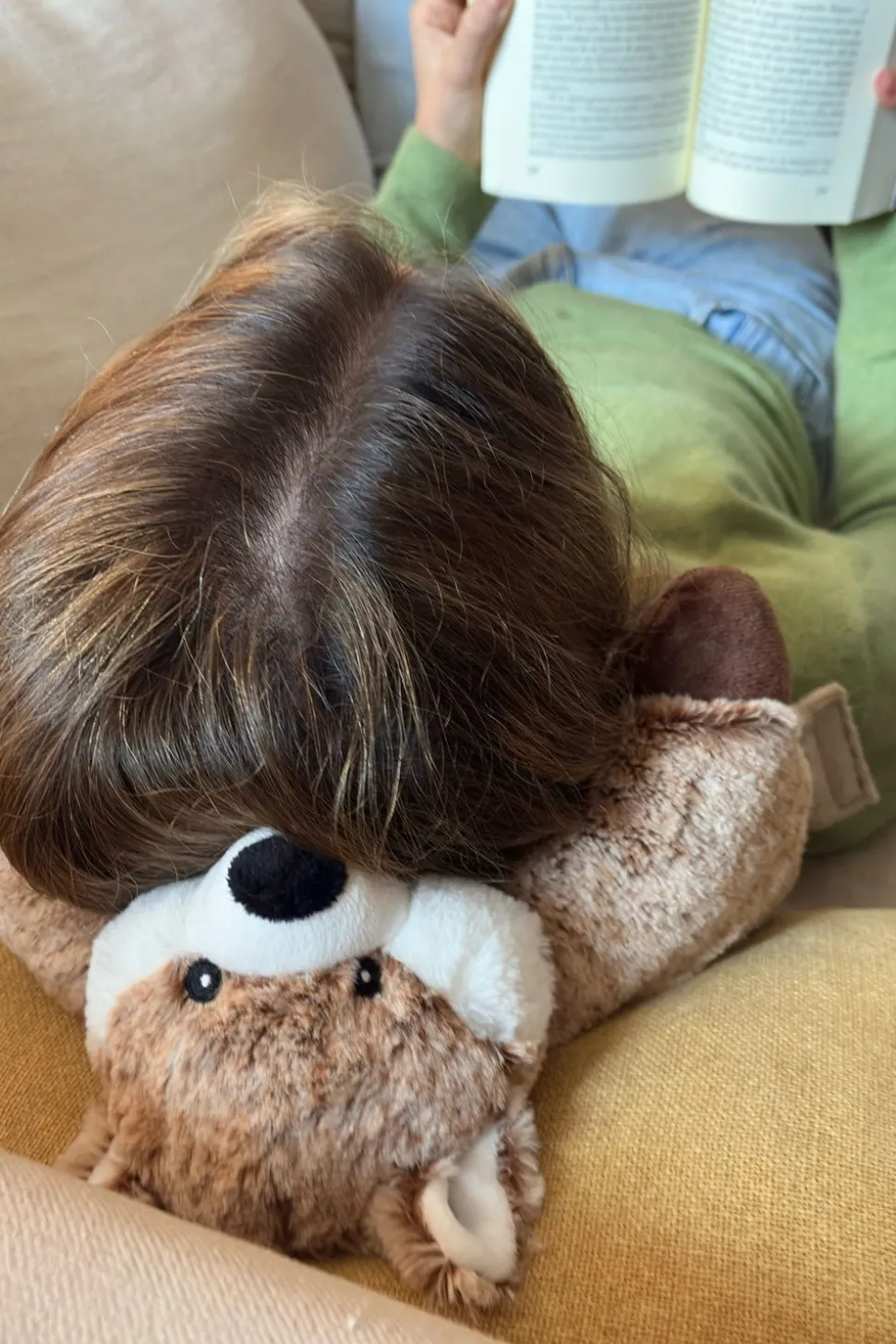 Peluche Térmico Perro