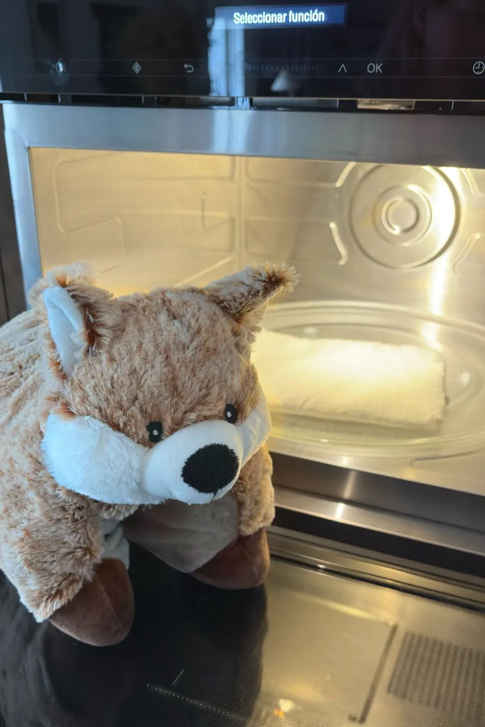 Peluche Térmico Perro