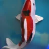 Pez Koi De Decoración Alargado
