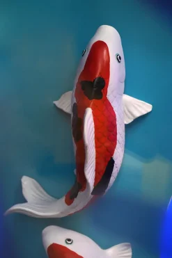 Pez Koi De Decoración Alargado