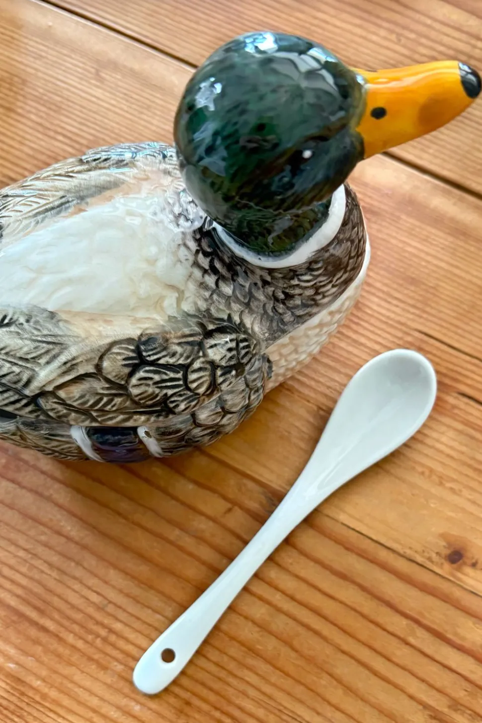 Recipiente Con Tapa Y Cuchara Diseño Pato