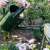 Regadera De Metal Verde 5L