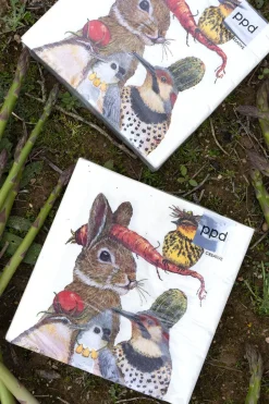 Servilletas Conejo Y Aves Grandes