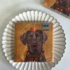 Servilletas Perro & Calabaza Grandes