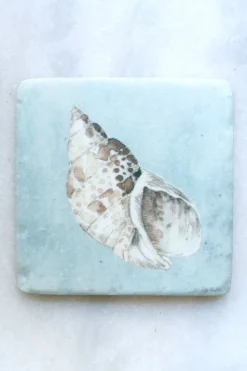 Set 4 Posavasos De Mármol Diseño Conchas