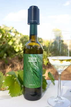 Tapón De Vacío Para Vino Co