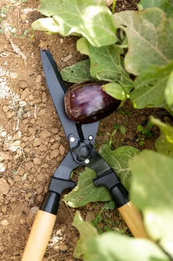 Tijeras Cortasetos De Acero Y Madera
