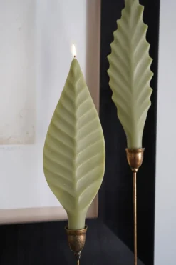 Vela Con Diseño De Hoja Verde