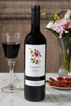 Vino Camins Del Priorat 2017