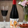 Vino Gallinas Y Focas