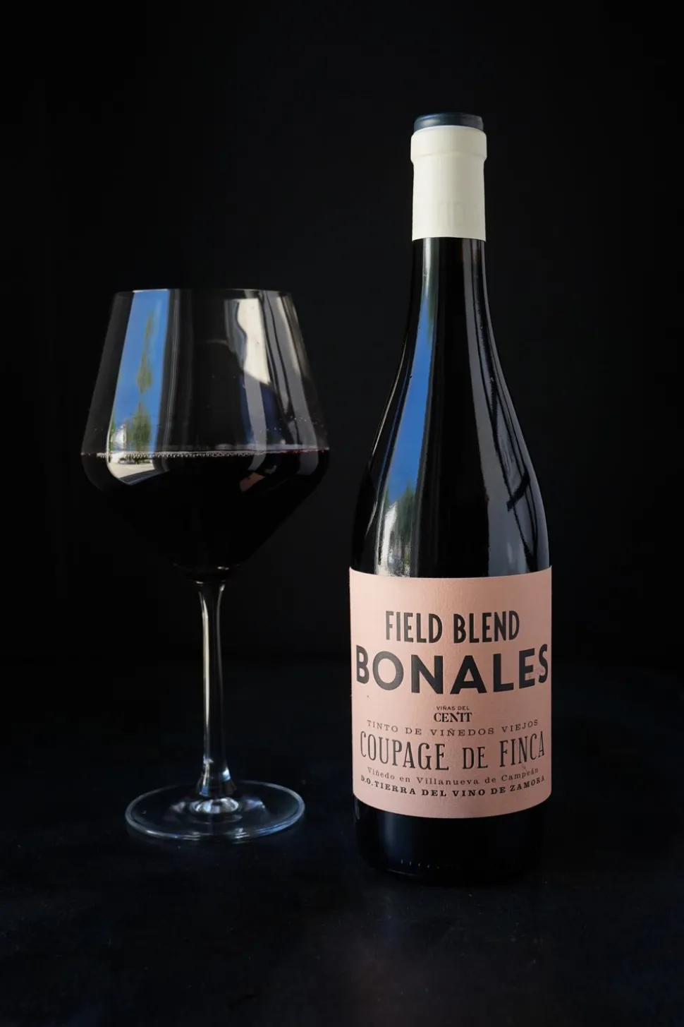 Vino Tinto Field Blend Bonales
