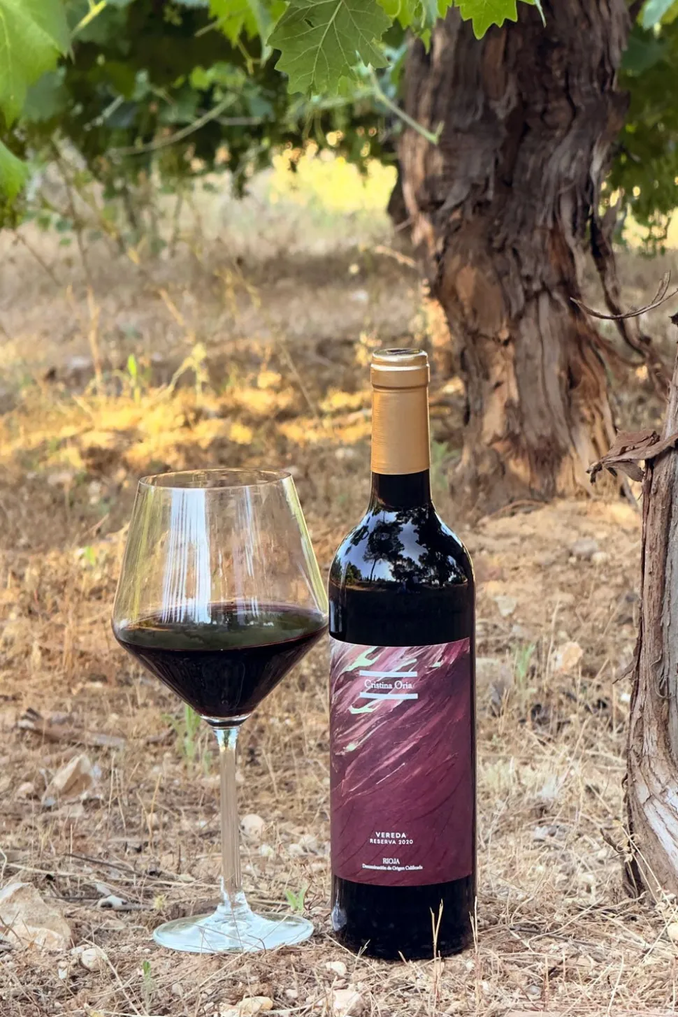 Vino Tinto Vereda Reserva 2020 CO