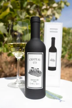 Wine Set: Botella con Accesorios para el Vino CO